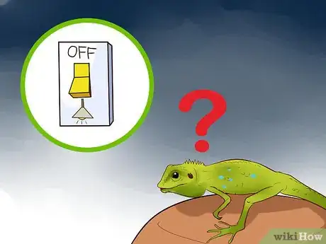Image titled Catch a Lizard in the House Step 4
