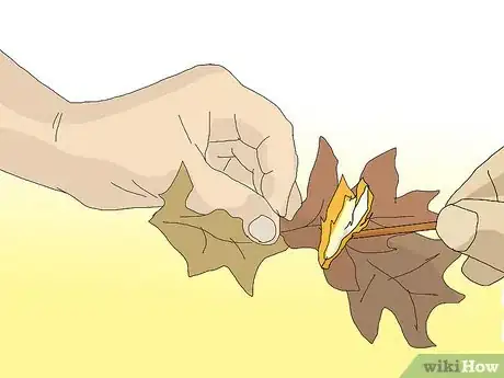 Image titled Set Fire to Leaves Step 4