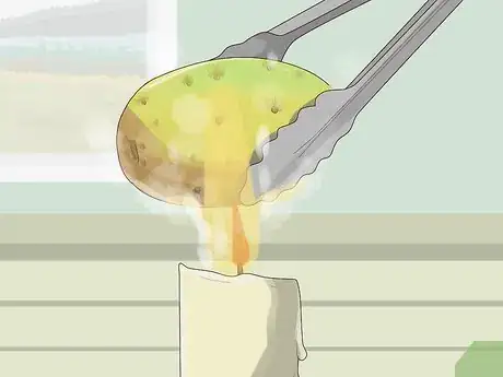 Image titled Cut a Prickly Pear Step 8