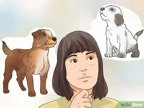 Image titled Introduce a New Puppy Step 15