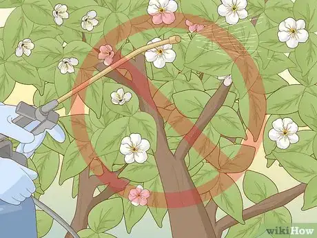 Image titled Pollinate Fruit Trees Step 10