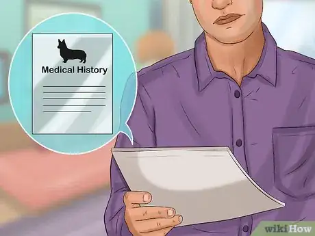 Image titled Rescue a Corgi Step 6