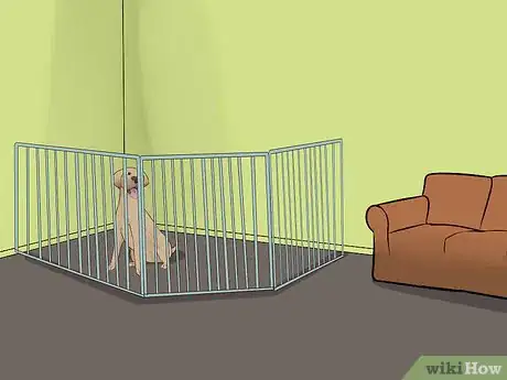 Image titled Prepare Your Household for a New Dog Step 17
