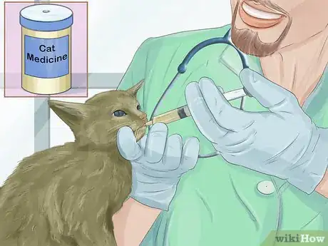 Image titled Capture an Angry or Upset Cat Step 11