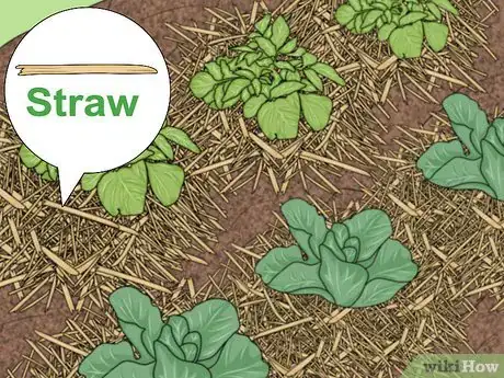 Image titled Pick the Right Mulch Step 13