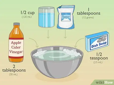 Image titled Use Home Remedies to Get Rid of Gnats Step 1