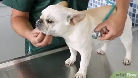 Image titled Help Puppies Learn Separation Skills Step 9