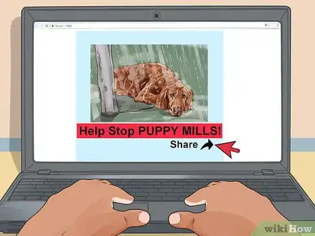 Image titled Help Shut Down Puppy Mills Step 16