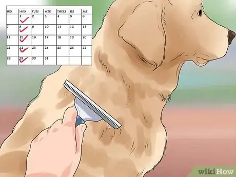Image titled Get Your Golden Retriever to Shed Less Step 2