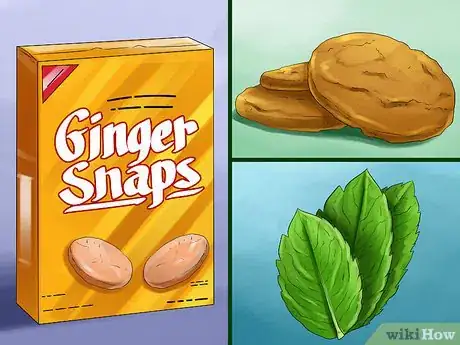 Image titled Prevent Your Dog from Becoming Carsick Step 14