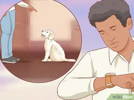 Image titled Foster Shelter Dogs Step 2