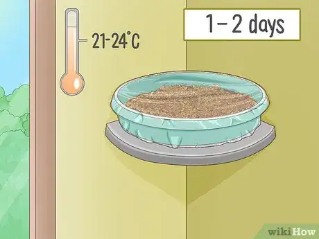 Image titled Grow Wheatgrass Without Soil Step 11