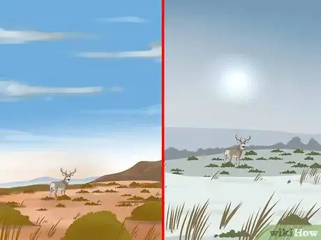 Image titled Hunt Mule Deer Step 2