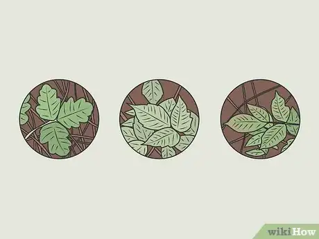 Image titled Heal Armpit Rash Step 10