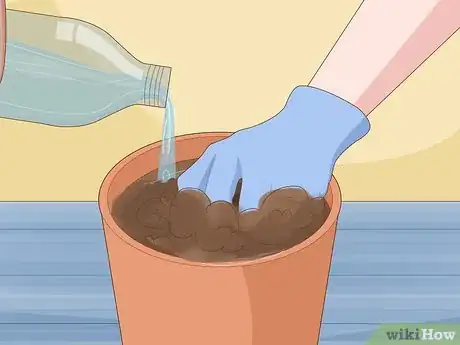 Image titled Garden During Coronavirus Step 14