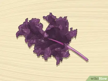 Image titled Shop for Kale Step 9