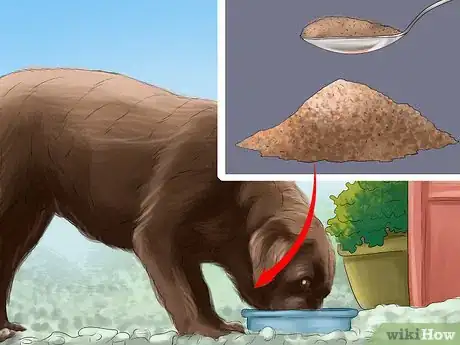 Image titled Feed Your Senior Dog a Healthy Diet Step 5