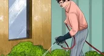 Keep Birds Out of a Barn