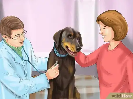 Image titled Spot Signs of Pancreatitis in Dogs Step 6