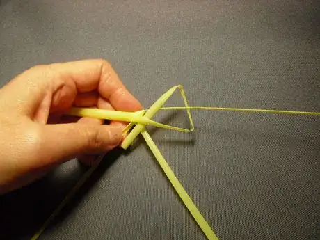 Image titled Shachi15_11.JPG