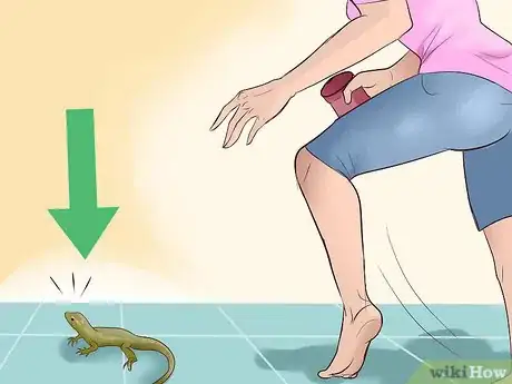 Image titled Catch a Lizard in the House Step 7