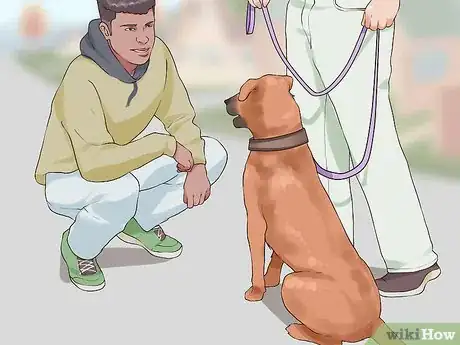 Image titled Introduce Your New Dog to the Neighbors Step 7