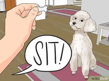 Image titled Teach a Dog to Read Sign Language Step 7