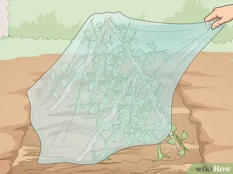 Image titled Use Organic Pesticides for Gardening Step 13