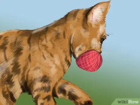 Image titled Treat Behavior Problems in Older Cats Step 7