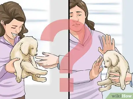 Image titled Handle a Dog Given to You As a Gift Step 6