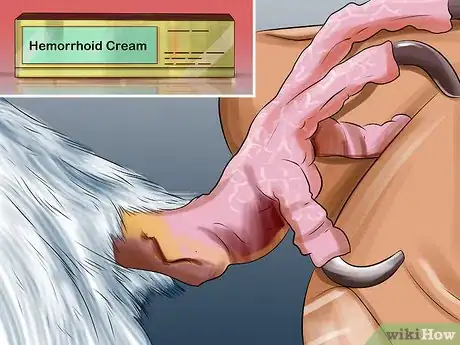 Image titled Treat Bumblefoot in Cockatoos Step 9