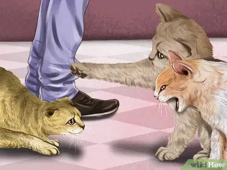 Image titled Understand Your Cat's Behavior Step 8