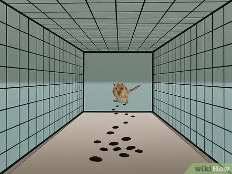 Image titled Catch a Gerbil on the Loose Step 13