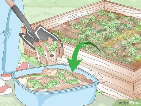 Image titled Prepare Your Garden for the Fall Step 1