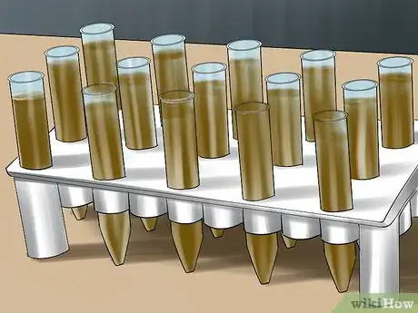Image titled Remove Parasite Samples from a Cat Step 4