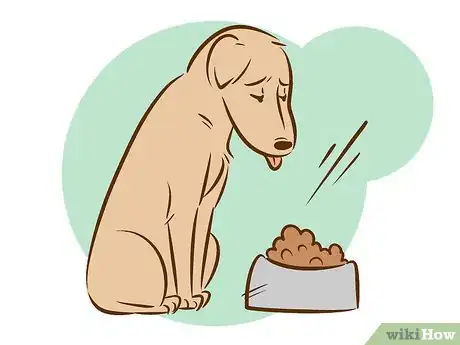 Image titled Recognize a Dying Dog Step 7