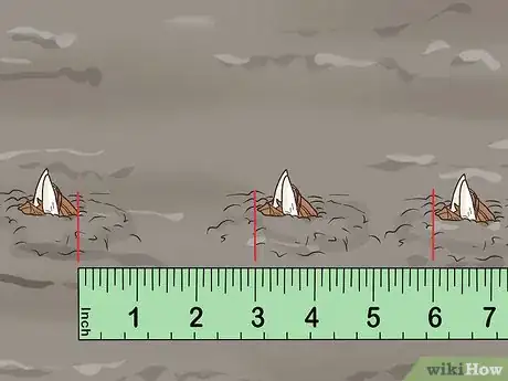 Image titled Grow Crocus Step 8