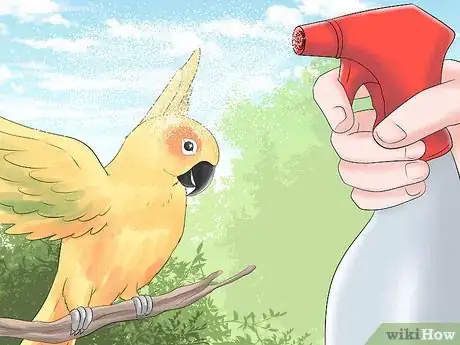 Image titled Keep a Conure Groomed Step 1