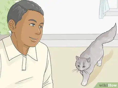 Image titled Help a Cat with Anxiety Step 12
