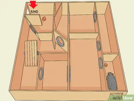 Image titled Train a Rat to Run a Maze or Obstacle Course Step 7