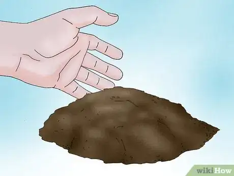 Image titled Grow a Peony in a Pot Step 4