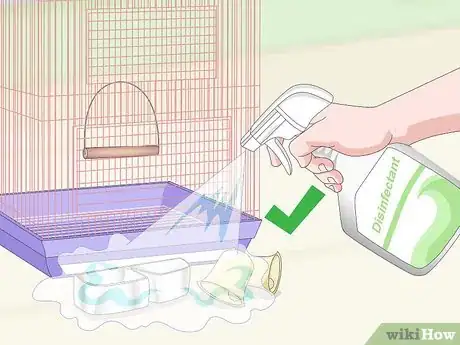 Image titled Treat Chlamydiosis in Lovebirds Step 9