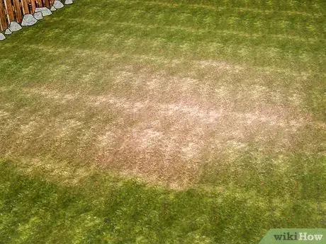 Image titled Get Rid of Japanese Beetles Step 8