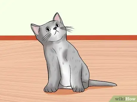 Image titled Train Your Cat to Come to You Step 11