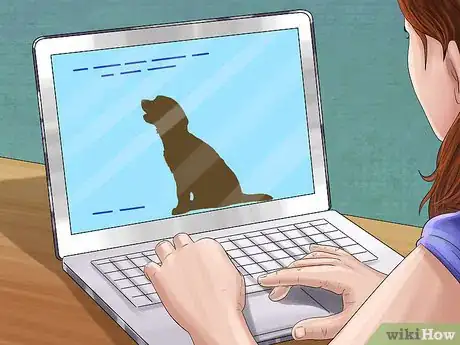 Image titled Adopt a Golden Retriever Step 2