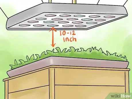 Image titled Grow Vegetables With Grow Lights Step 4
