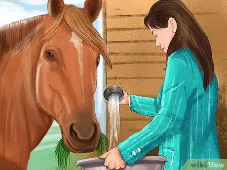 Image titled Feed Sugar Beet to a Horse Step 7