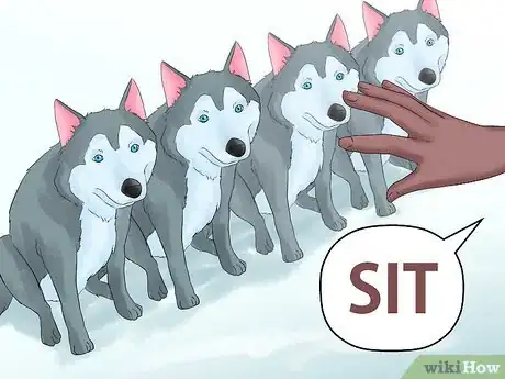 Image titled Get Started Dog Mushing Step 15