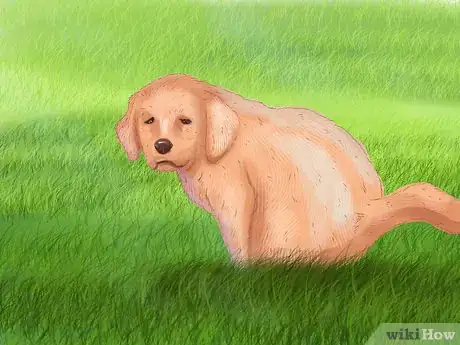 Image titled Keep a Puppy Out of Trouble Step 6