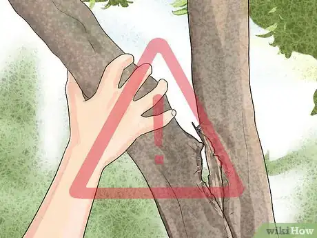 Image titled Free Climb a Tree Step 12